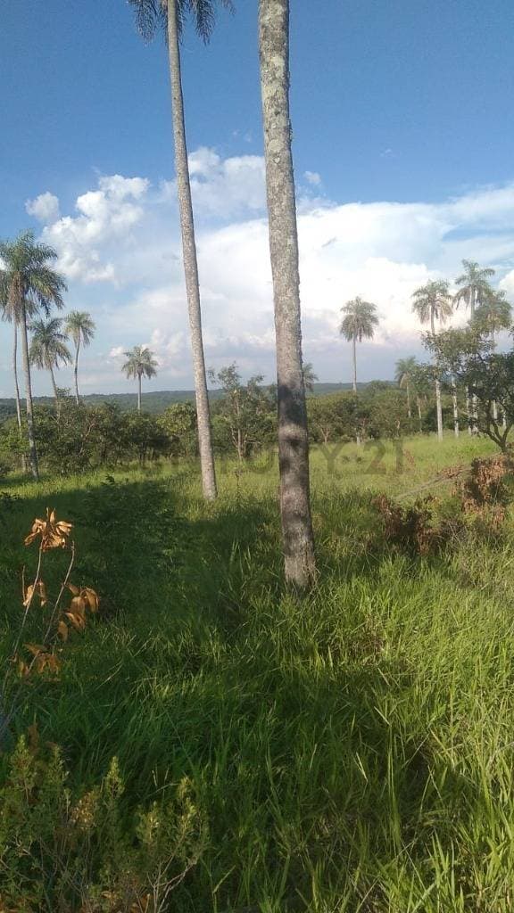 Venta de Propiedad Agrícola en Paraguarí, Paraguarí