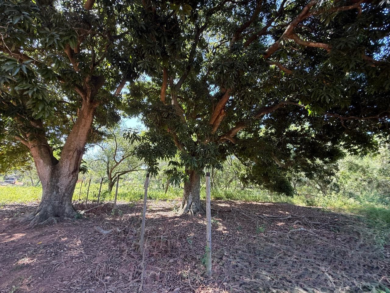 En Venta Amplio Terreno En Luque