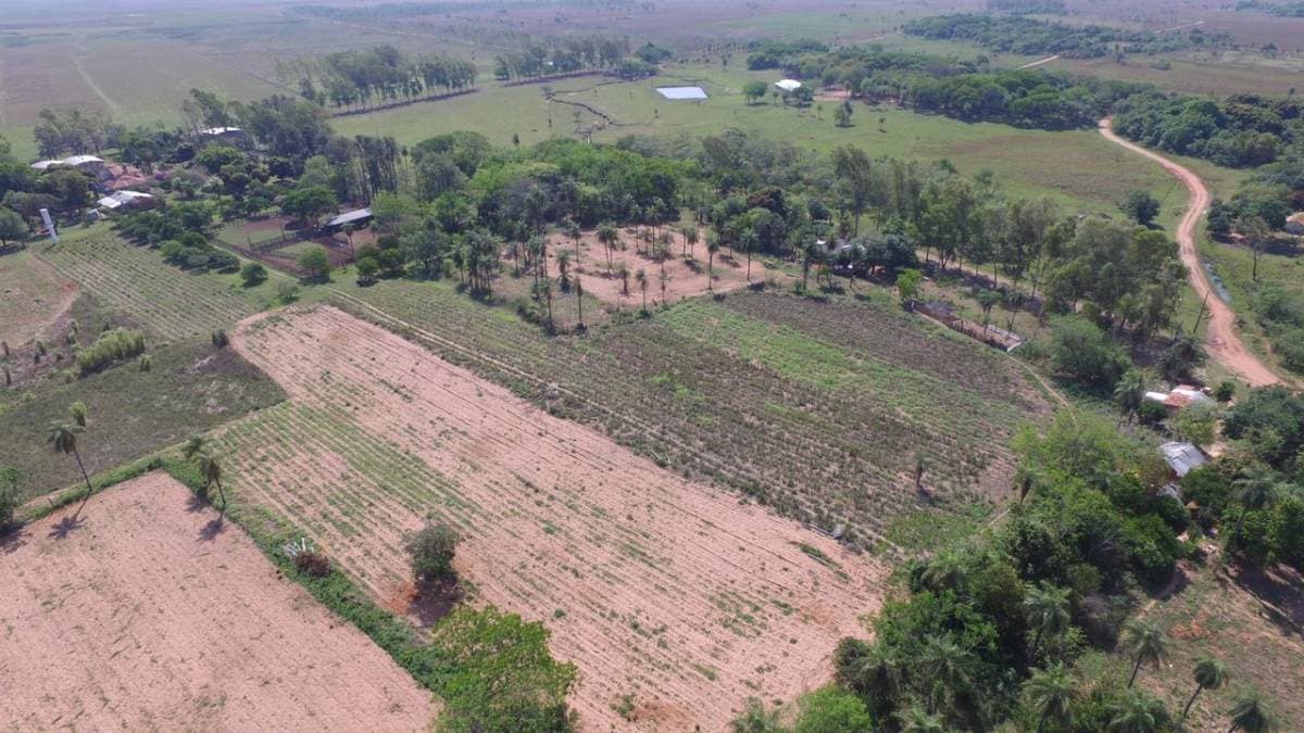 Agroganadera en acahay, foto 4