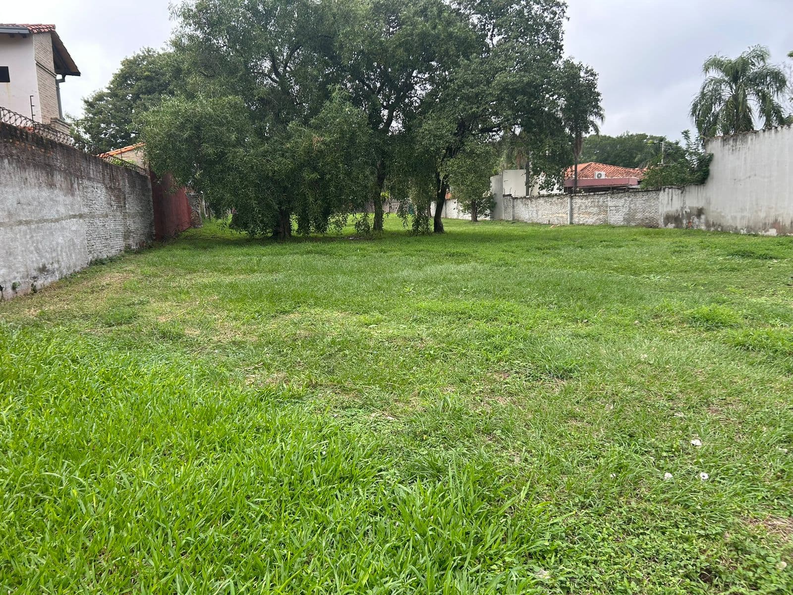 Amplio Terreno Con Salidad De Calle A Calle. Ita Enramada, foto 4