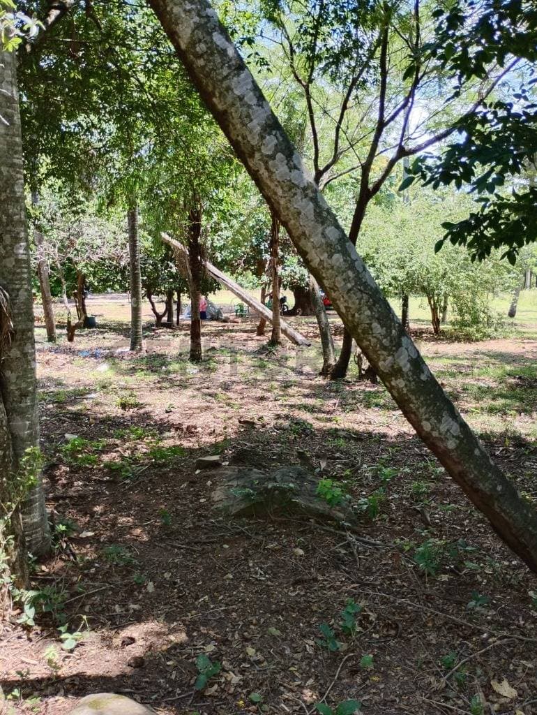 de Estancia/Ganadera en Loma Grande, Cordillera, foto 2