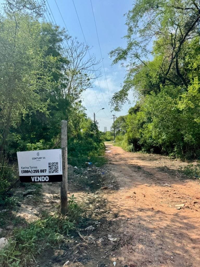 Terreno portuario industrial sobre el rio paraguay en villeta, foto 3