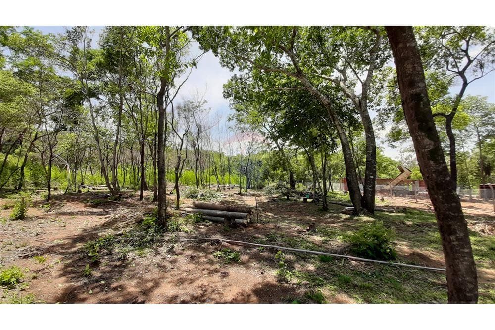 Terreno en San Bernardino ciervo cua 3.900 m2 — foto 3