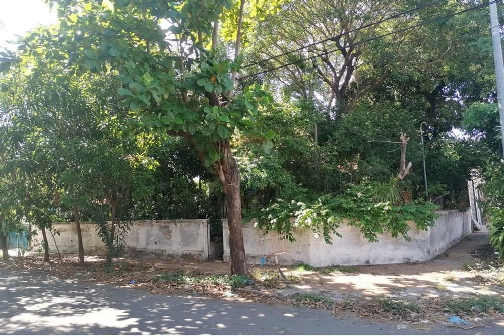 Terreno– asuncion- 30 x14 -bo.tacumbu, foto 2