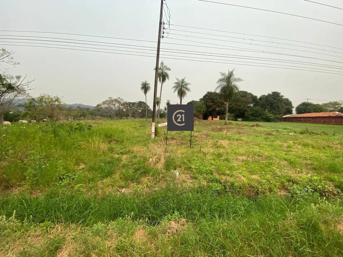 Terreno sobre ruta aregua patiño, foto 4