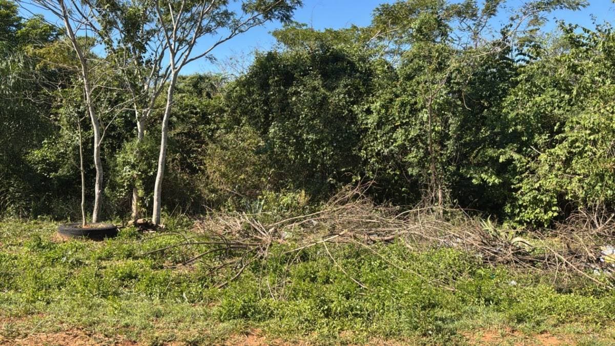 VENDO TERRENO en Aregua zona Pindolo