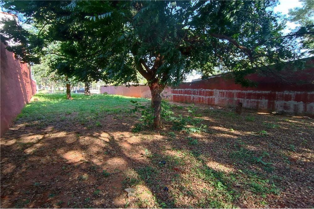 Hermoso terreno en m.r.a, foto 5