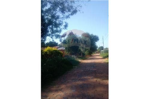 Terreno en Ñemby, foto 3
