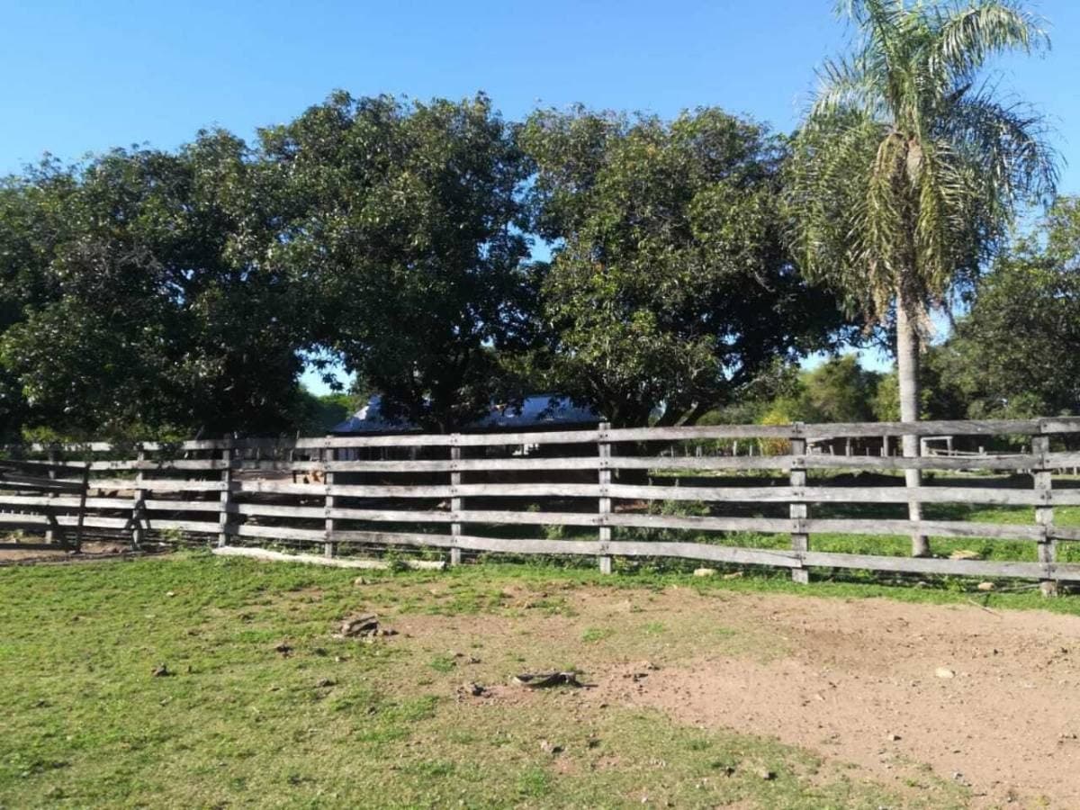estancia en Caapucu - Departamento de Paraguarí — foto 4