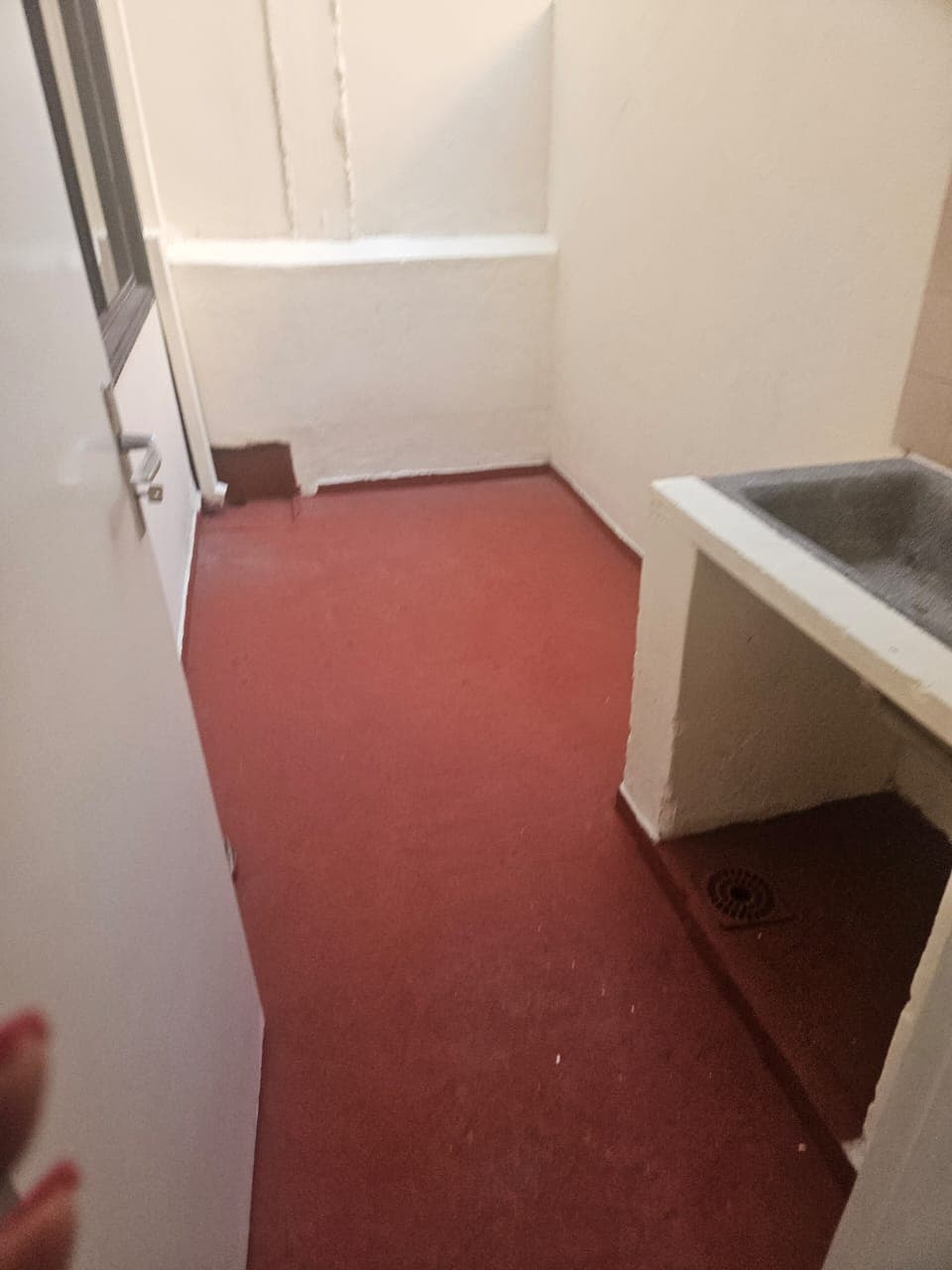 Departamento sobre lilio, foto 5