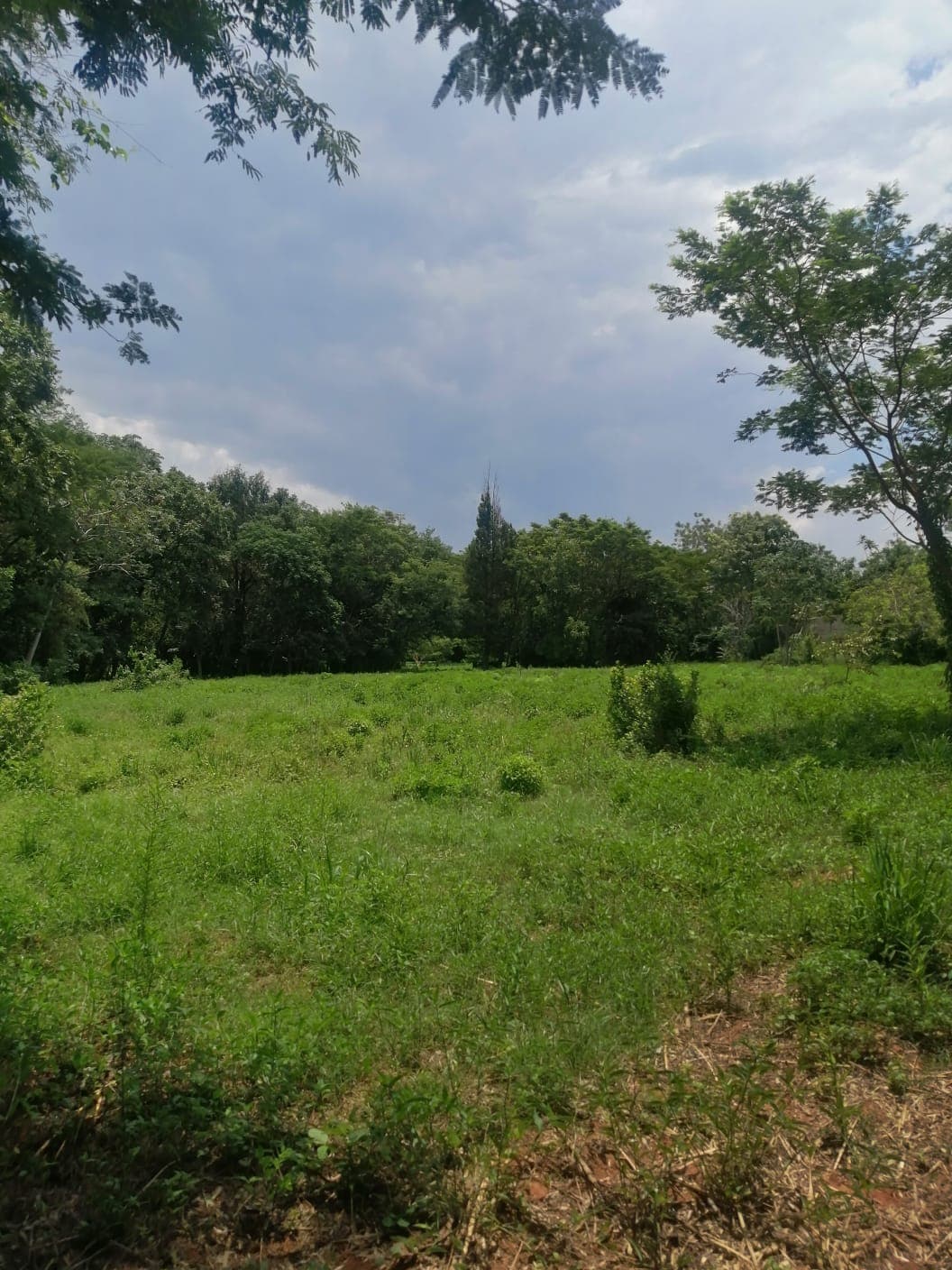 Gran Terreno Oportunidad de Inversión en Maramburé, foto 3