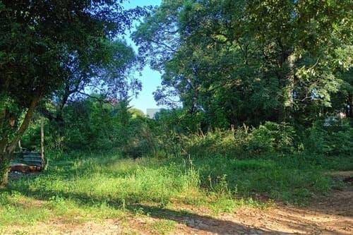Terreno en Luque - isla bogado, foto 5