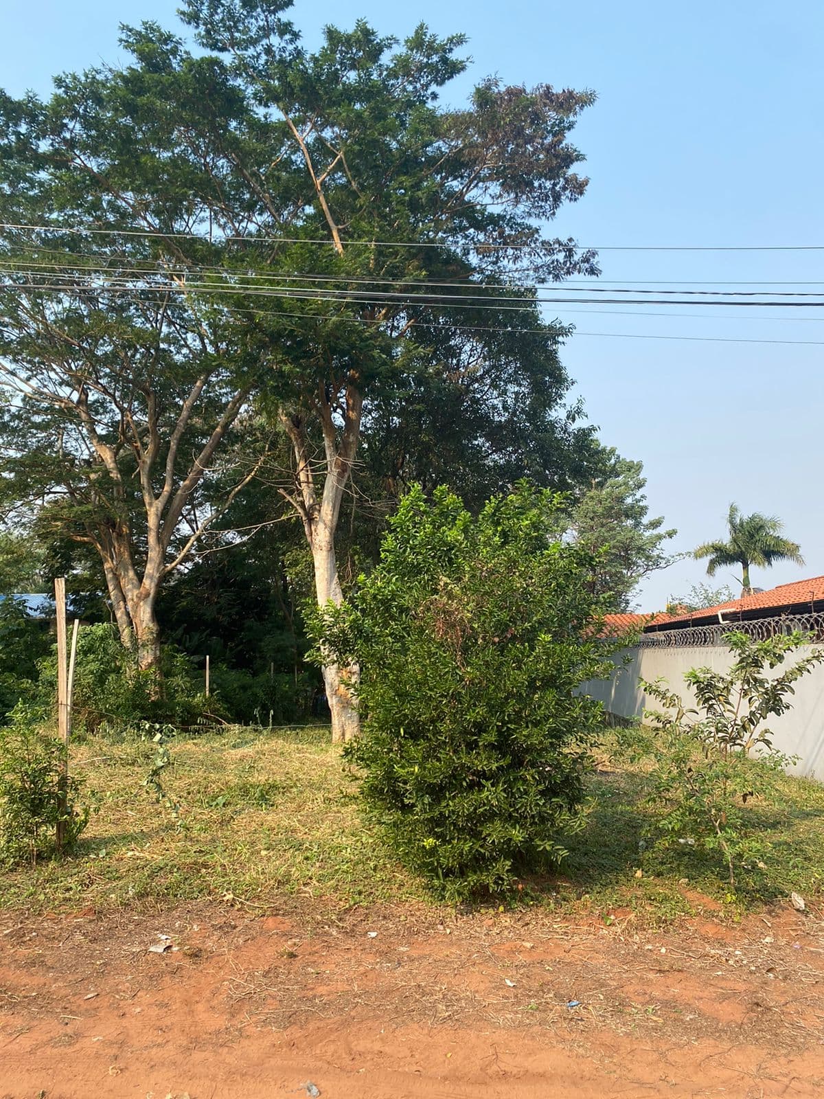 Terreno en San Lorenzo, foto 2