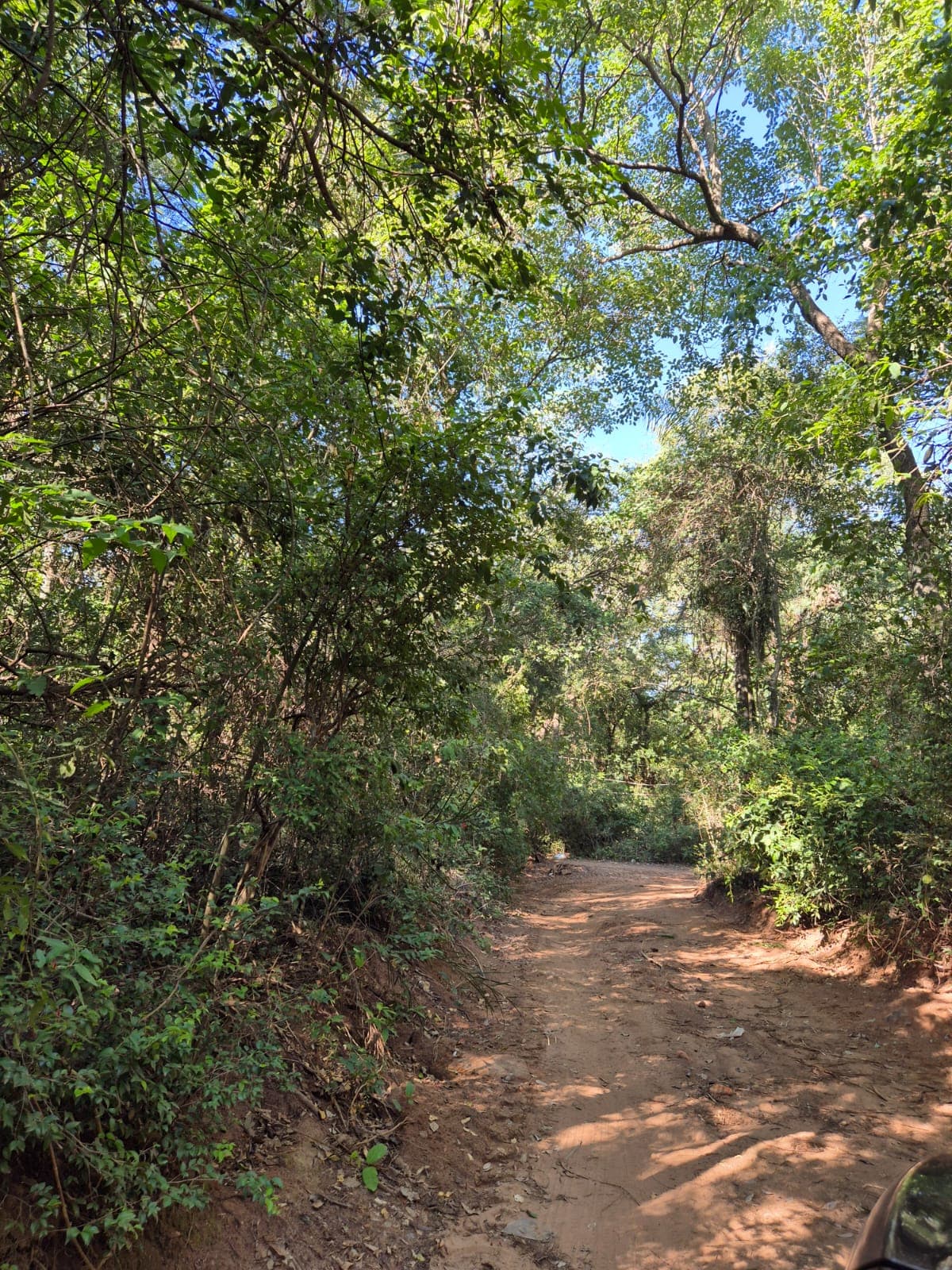 Terreno en arroyos y esteros, foto 4