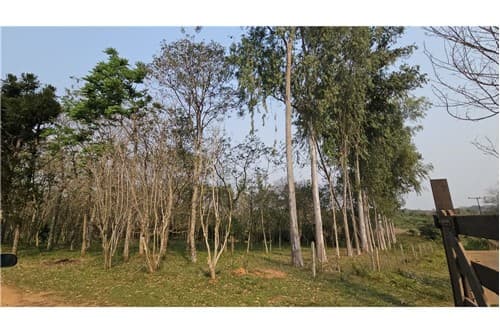 Casa de campo-Venta- Itacurubí De La Cordillera, Cordillera, foto 5