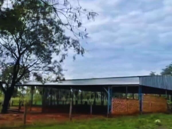 En venta 50 hectáreas a 10 km del centro de piribebuy, foto 2