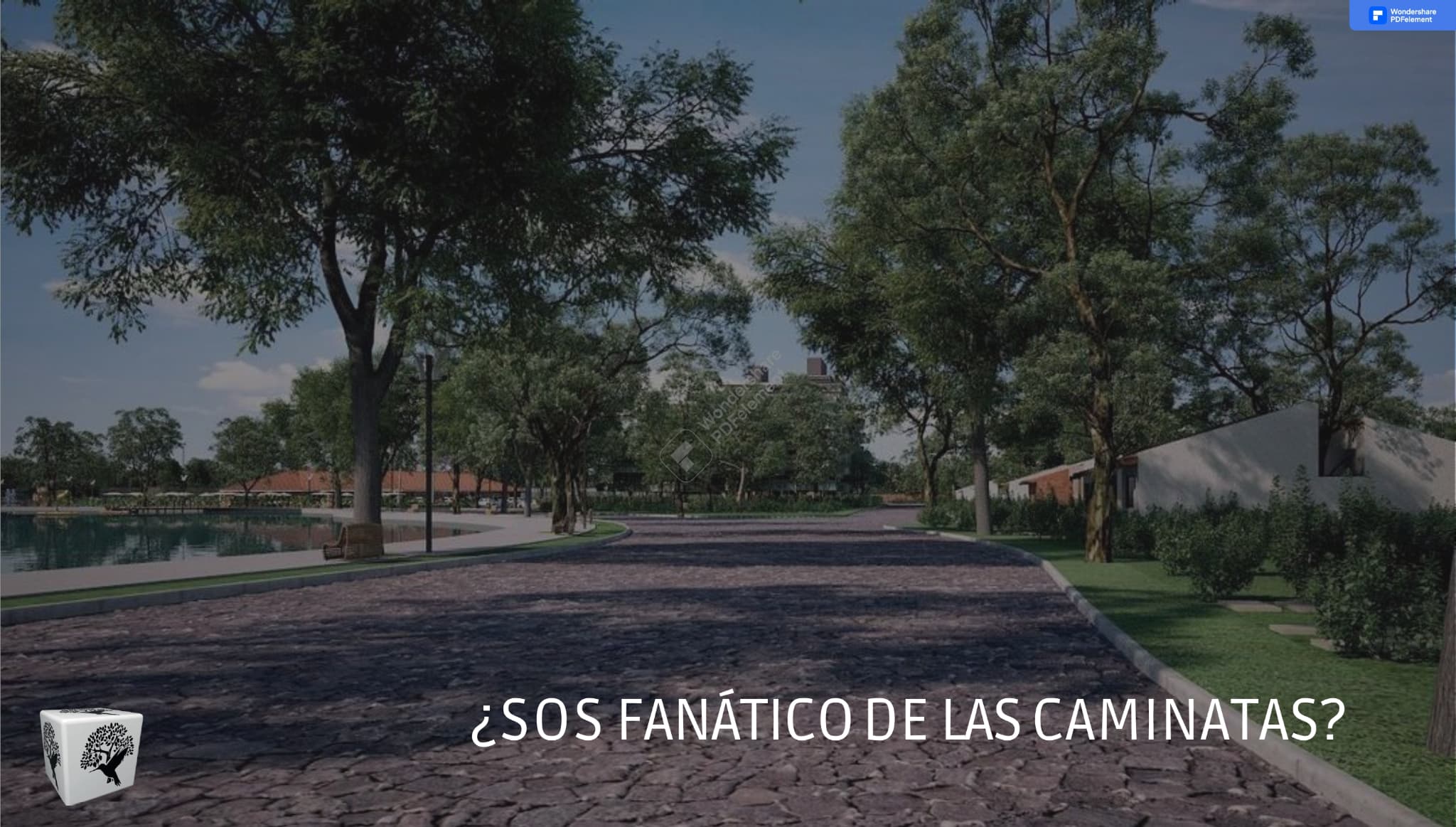Bosque Lago — foto 5