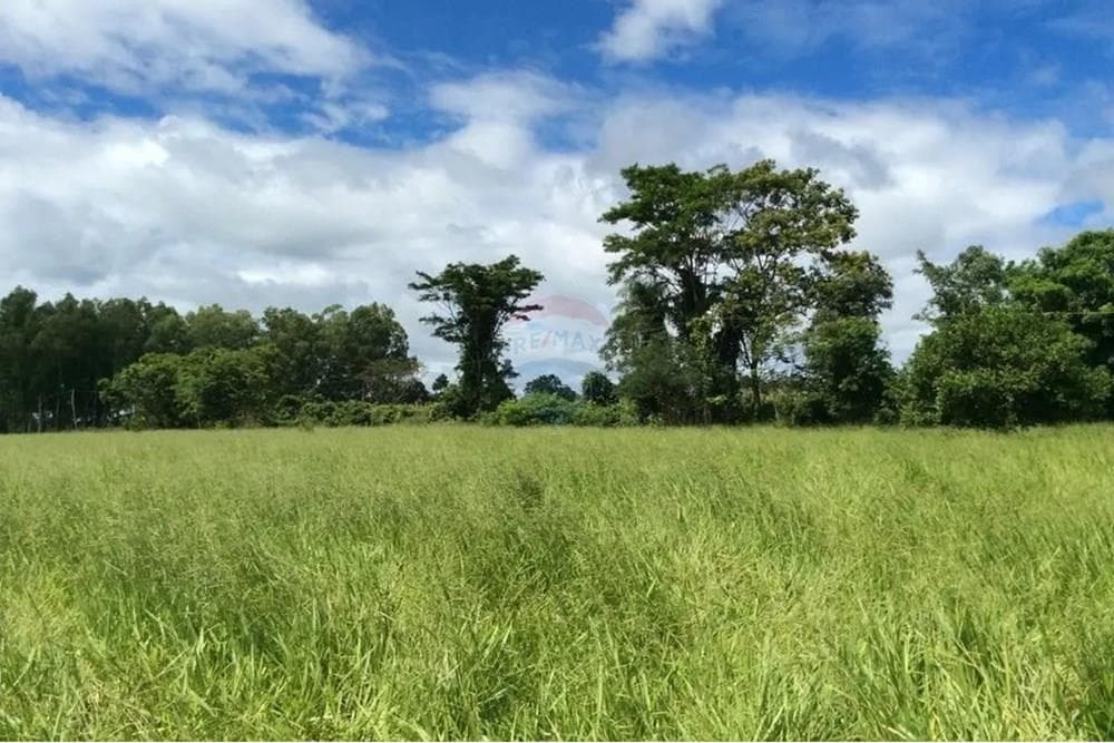 En venta campo de 399 Hectáreas en San Pedro, foto 3