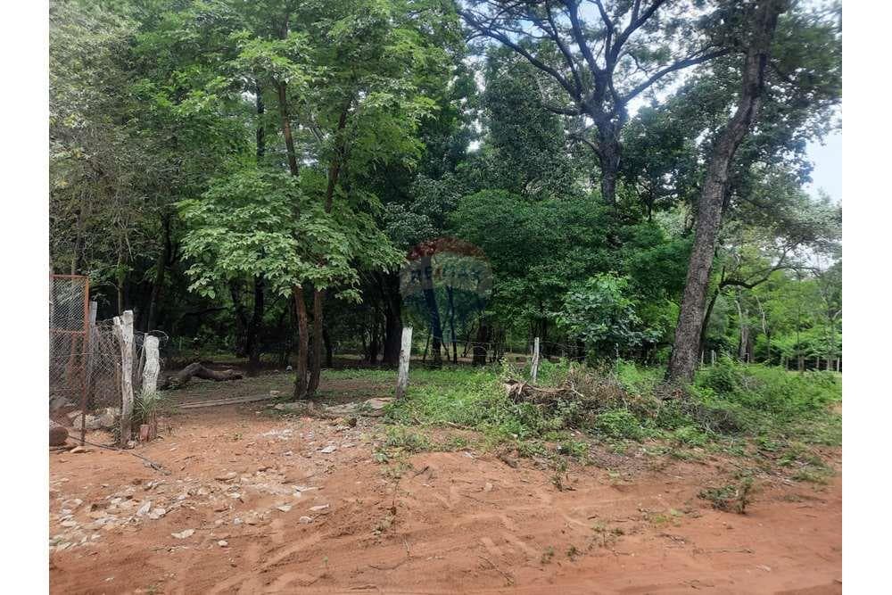 Oportunidad única de terreno San Bernardino, foto 2