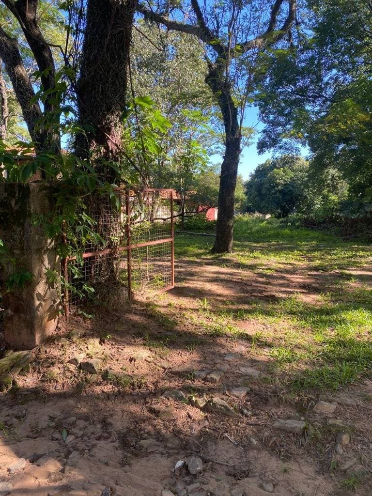 En VENTA hermoso terreno en San Bernardino, foto 4