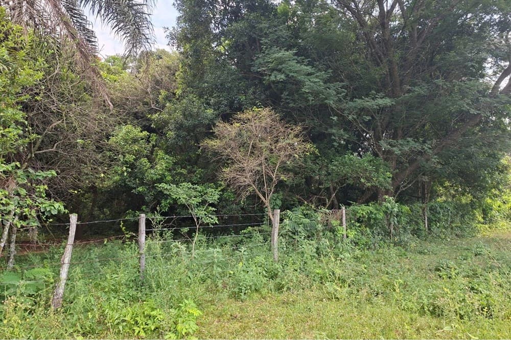 Terreno-Venta-Varón Coopens y Las Residentas, Altos, Cordillera, foto 4