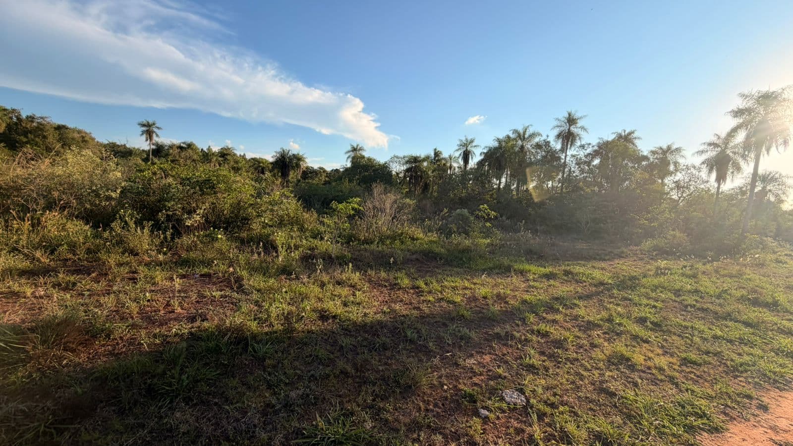 Terreno en oferta - piribebuy