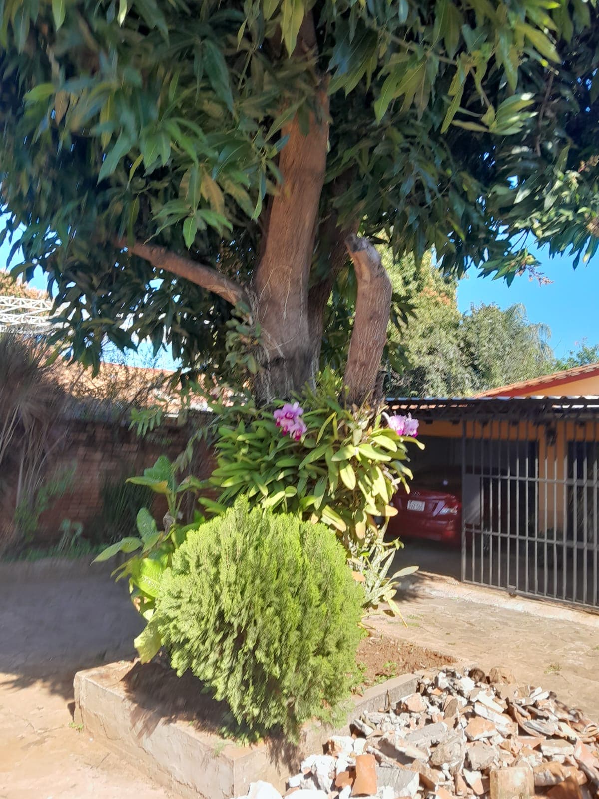 Casa Barrio Fatima San Lorenzo — foto 2