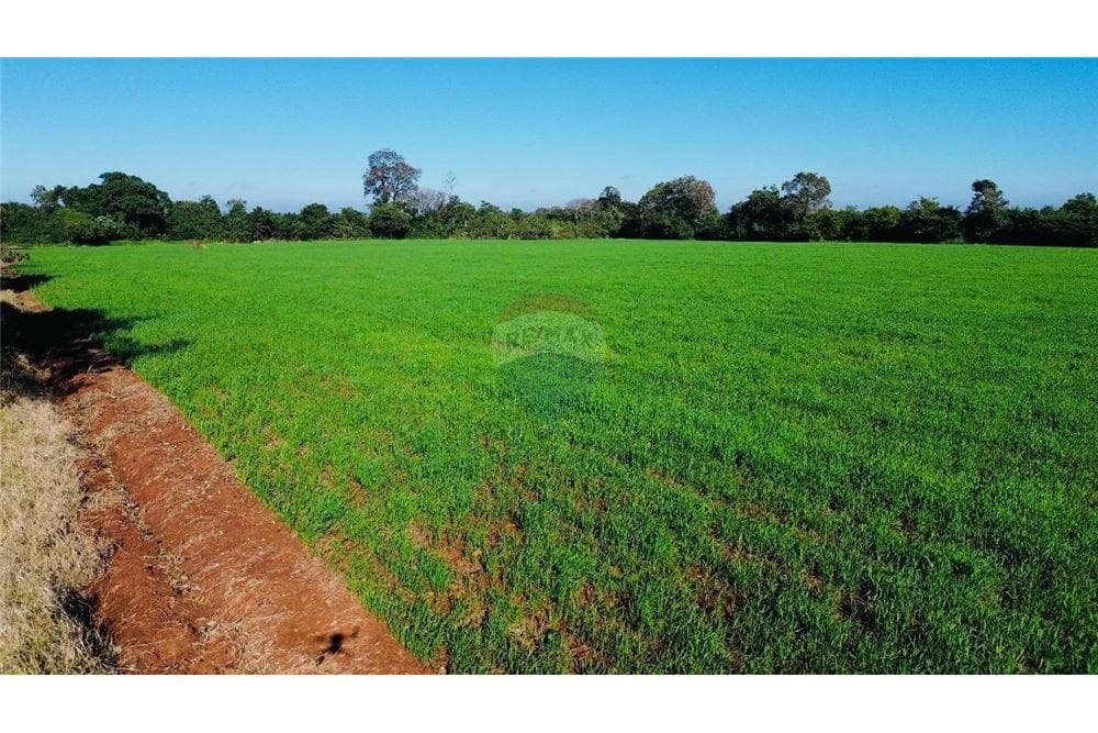 Terreno en venta - barrio san blas independencia, foto 3