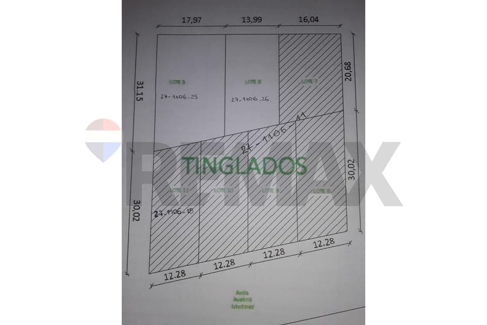 Venta-deposito-fdo de la mora, foto 5