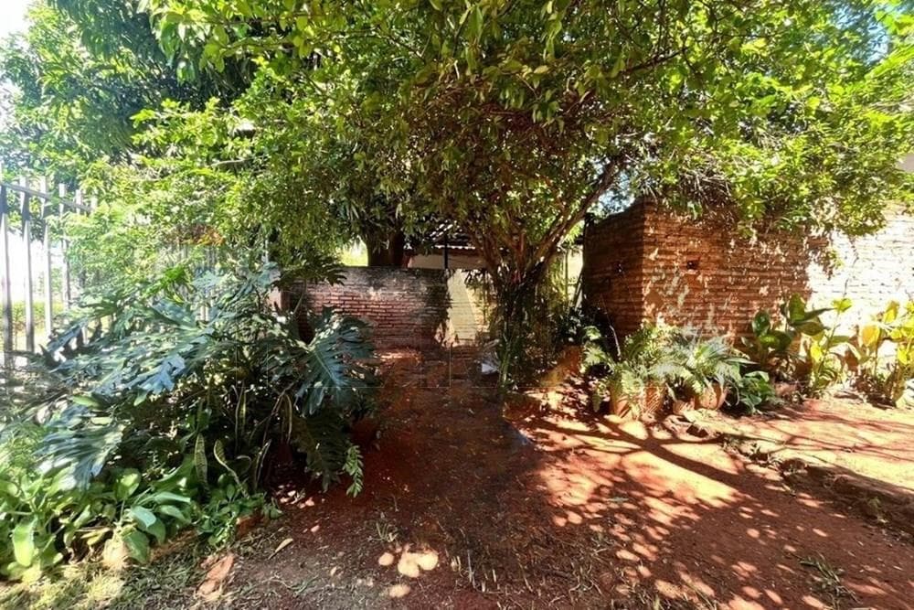 Terreno en Luque – barrio Cañada Garay — foto 4