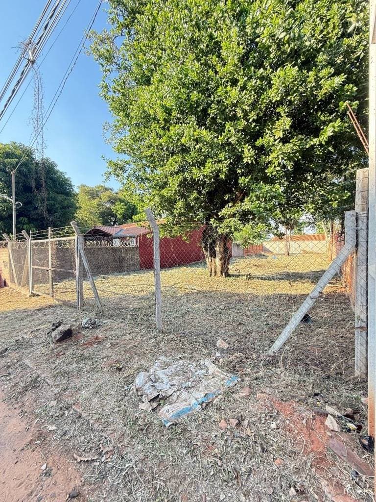 en venta, terreno sobre asfalto en Mariano Roque Alonso, foto 4