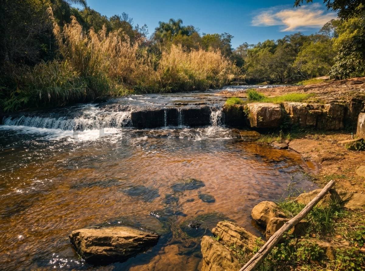 14 hectáreas sobre el Arroyo Piribebuy – Eusebio Ayala, foto 1