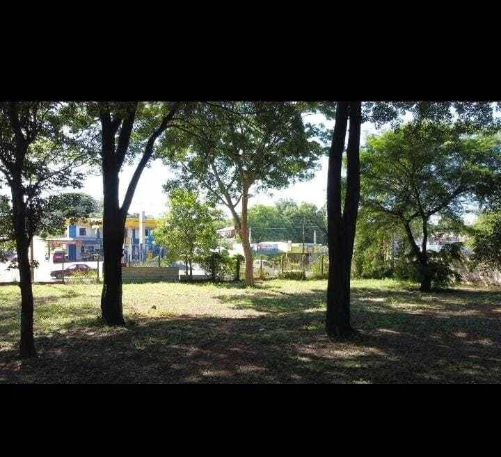 En venta - cuatro terrenosen barrio Ñemby, foto 2