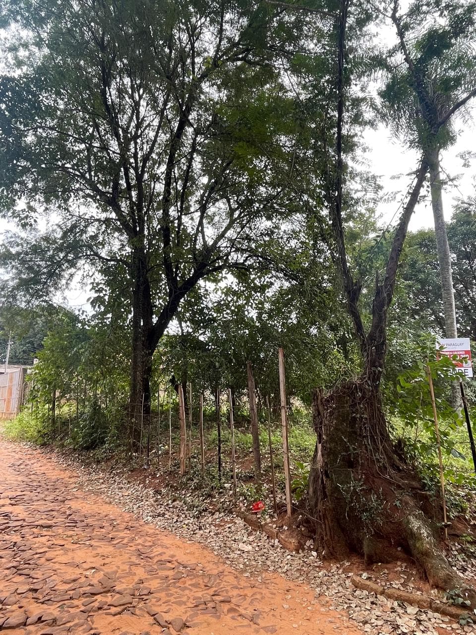 Venta De Terreno En Capiata Bo. Ybyraro