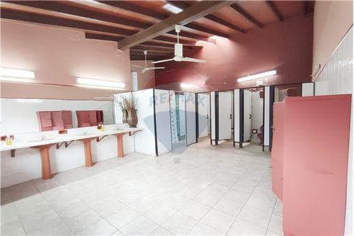 Depósito-Venta-PY Central Villa Elisa Luis Alberto del Parana, foto 3