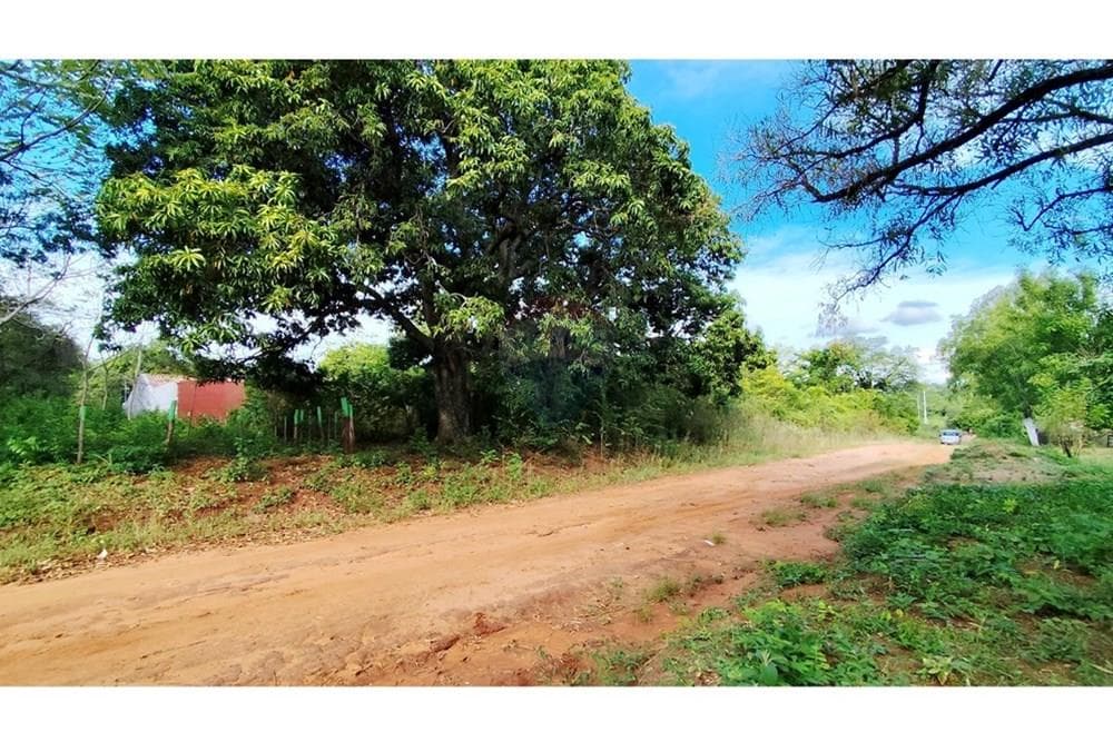 Terreno en Venta: Luque, foto 2