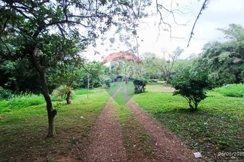 Terreno - Venta - Paraguay Central Aregua, foto 4