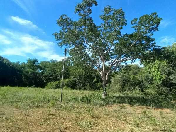 De terreno en atyra, foto 1