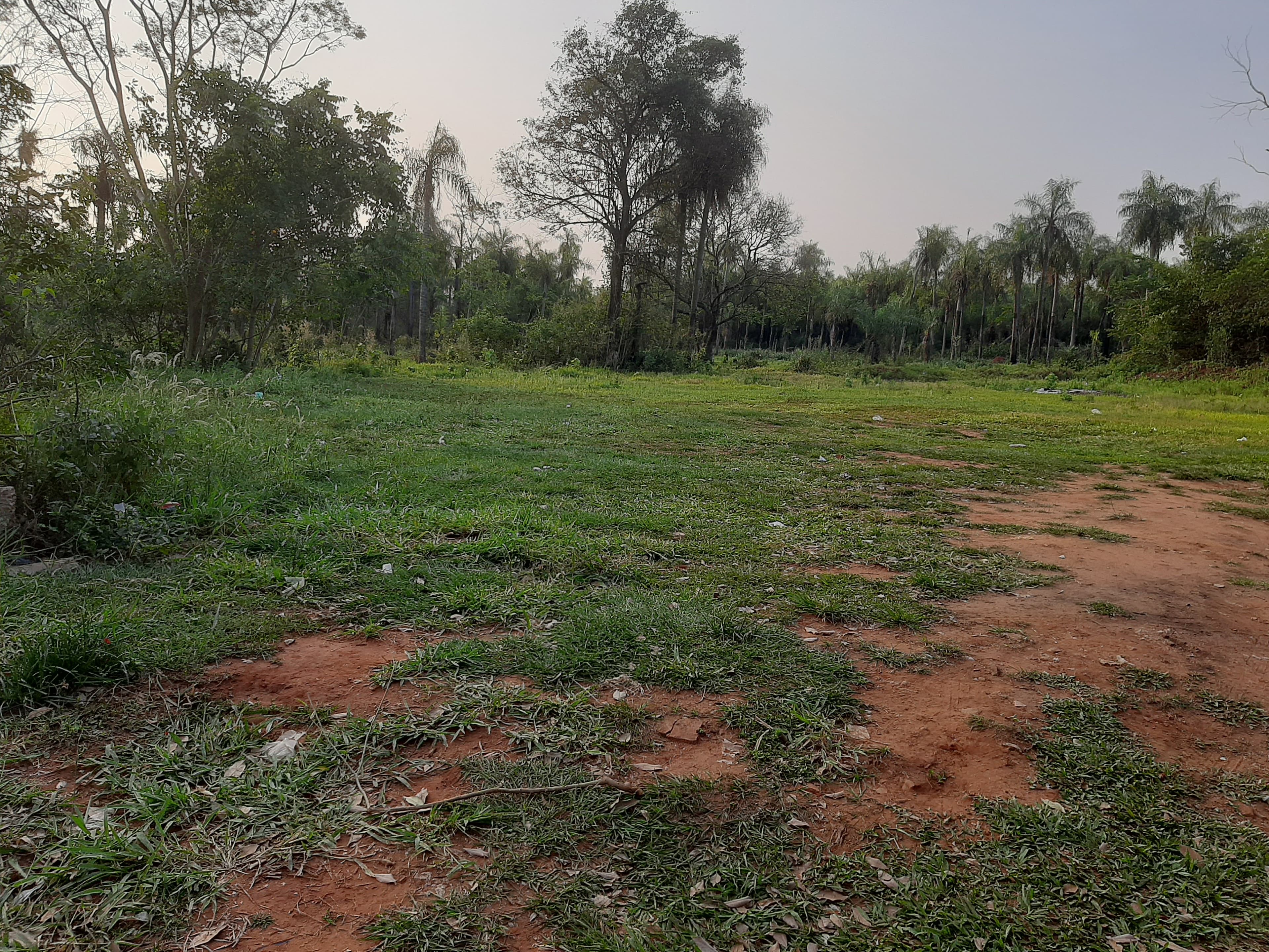 Terreno 14,76x32 a una cuadra de la ruta Ramal Aregua, a 200 metros de Cerro koi — foto 4