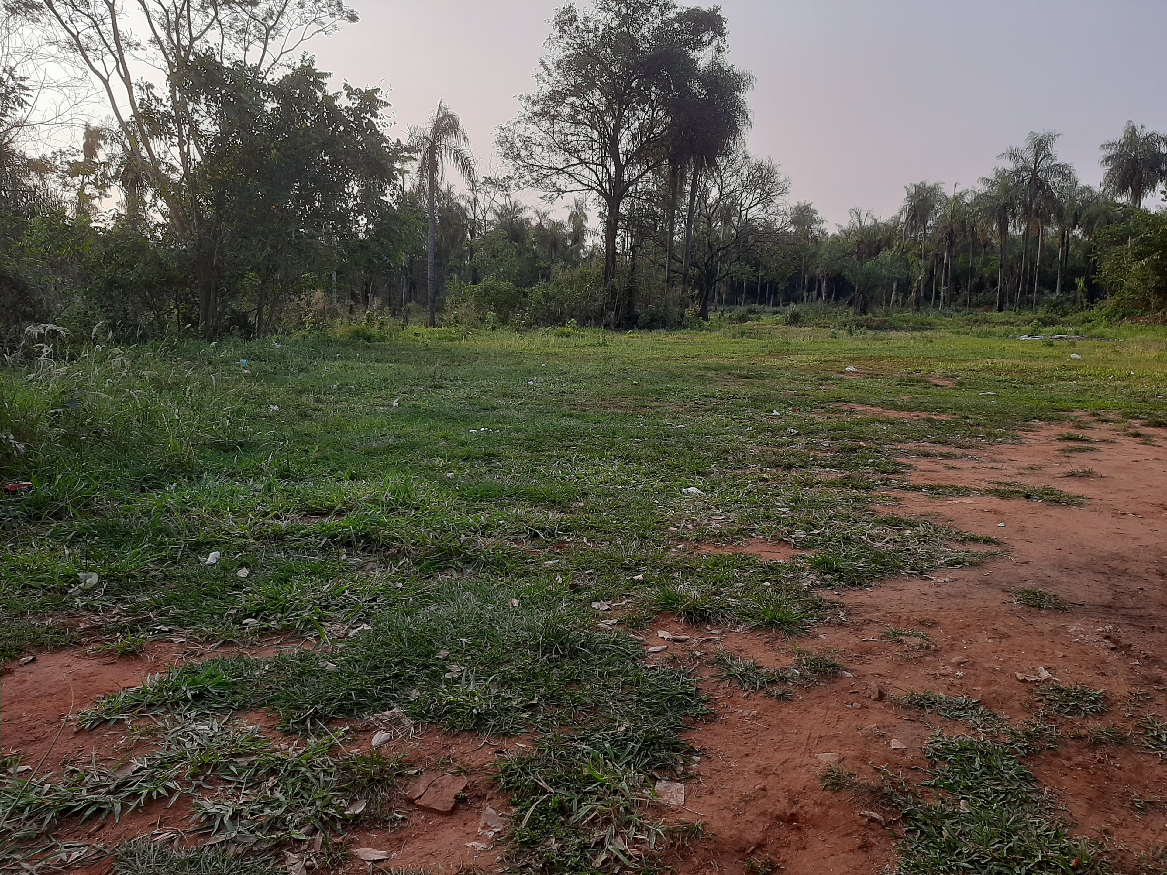 Terreno 14,76x32 a una cuadra de la ruta Ramal Aregua, a 200 metros de Cerro koi — foto 5