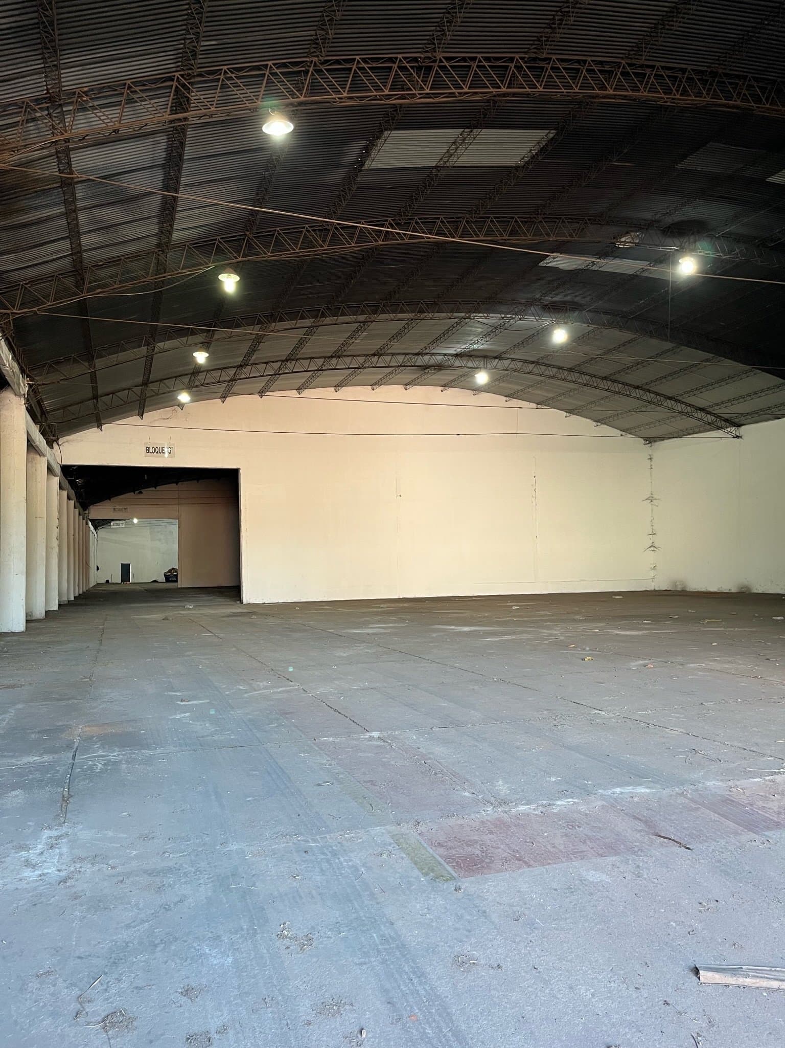 Deposito De 4500 M2 En San Lorenzo Sobre Avenida, foto 2