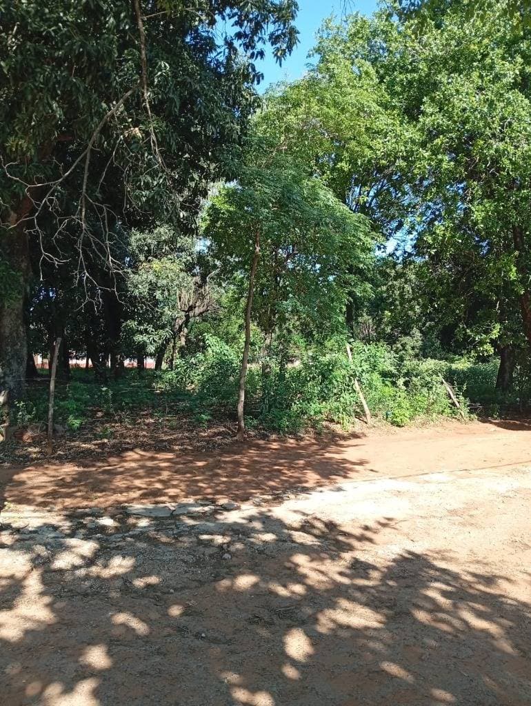 En venta, Terreno de 1667 mt2 en Isla Bogado, Luque, foto 5