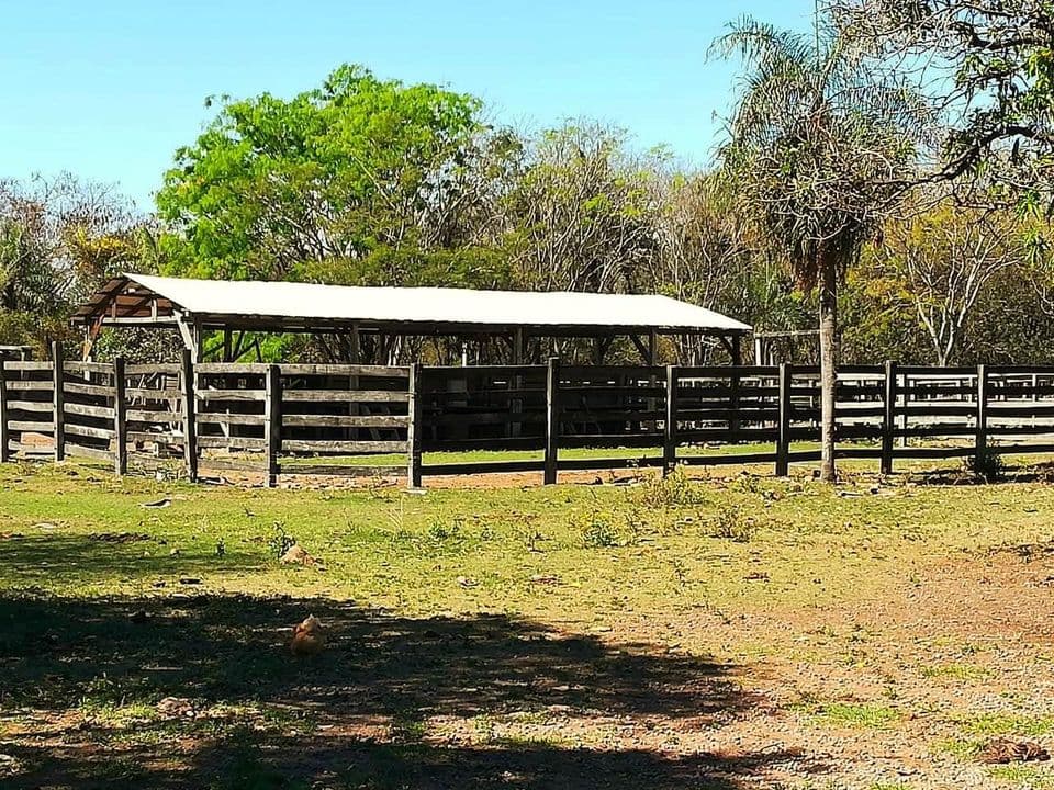 Oferta Vendo Estancia Formada En Caapucu A Tranquera Cerrada Con 150 Cabezas — foto 2