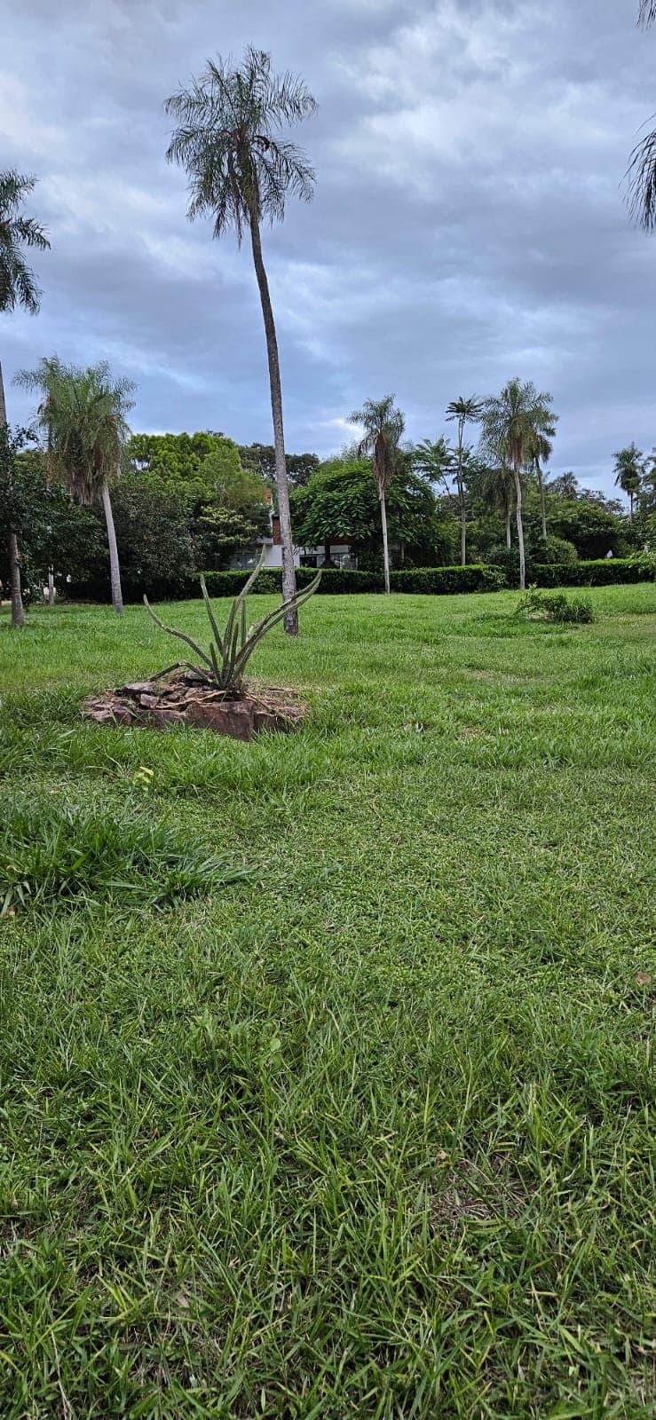 Terreno En Sanber — foto 3