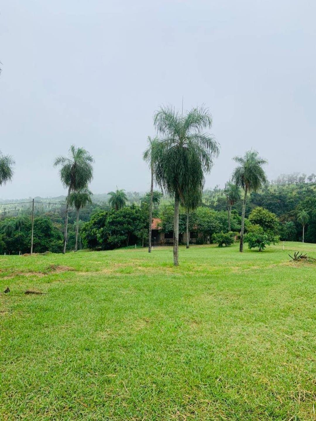 Terreno En Sanber — foto 4