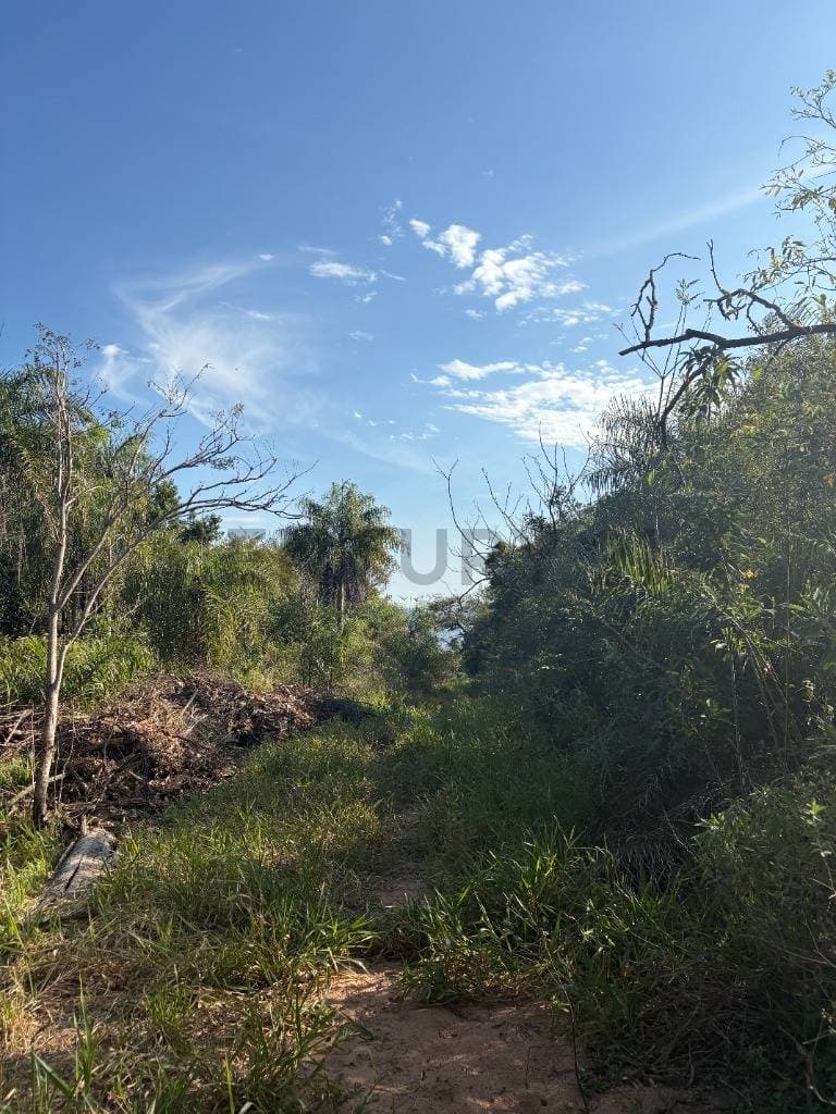 Terrenos en Zona Anfiteatro – San Bernardino. Lote 20 y Lote 21, foto 5