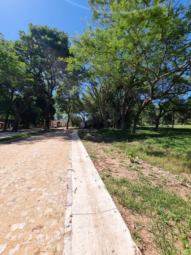 Terreno en Piedras Blancas - San Bernardino, foto 3