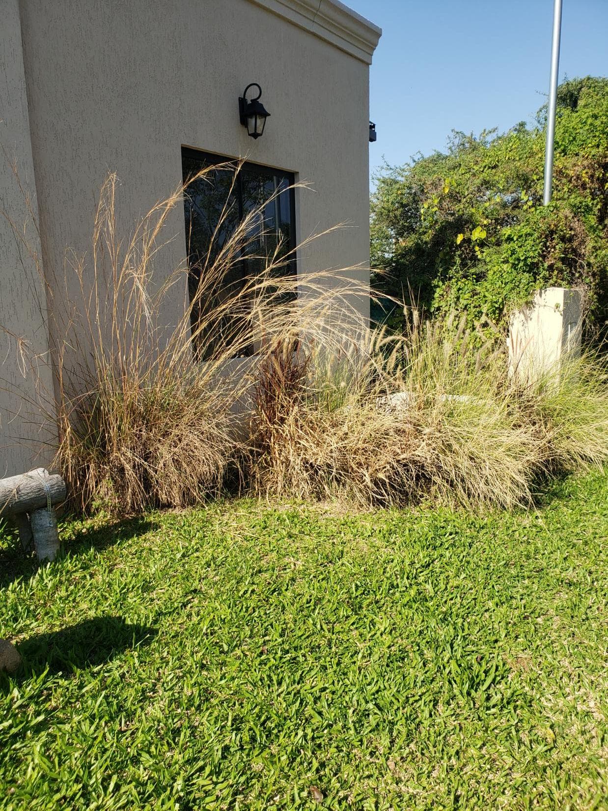 ¡hermosa Casa Quinta! Barrio Cerrado Costalago, Ypacaraí — foto 3