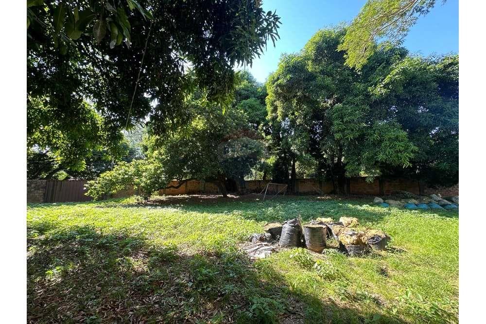 terreno en Lambaré, foto 1