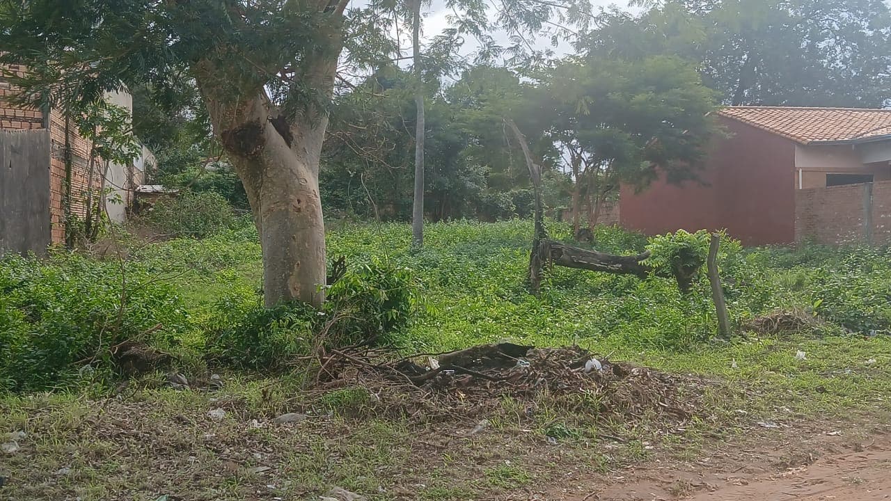 Terreno en Villa Elisa, foto 3